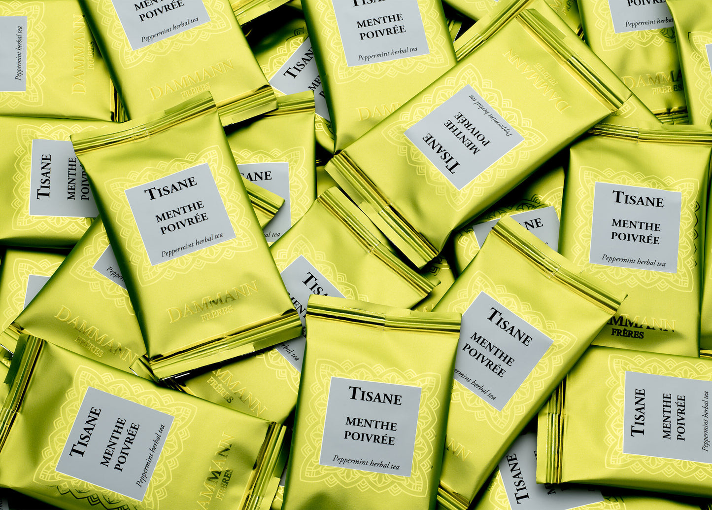 Carton Sachets Enveloppés x250 - MENTHE POIVRÉE