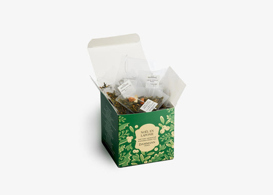 Boîte Sachets Cristal x25 - NOËL EN LAPONIE